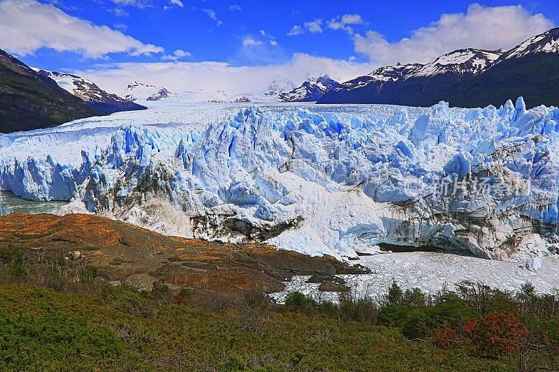 莫雷诺冰川和红色野花，阿根廷湖- El Calafate，巴塔哥尼亚